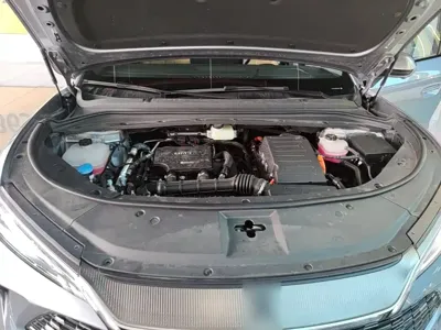 BYD L DM-i