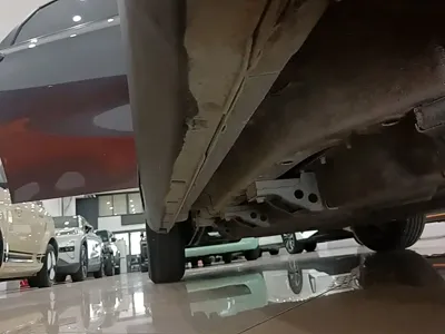 NETA Neta V