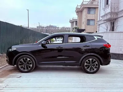 WEY Wey VV6