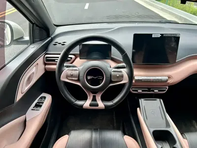 BYD Seagull