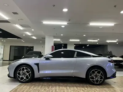 NETA Neta GT