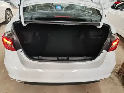 Guojin Auto Junxing