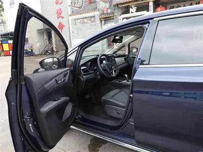 BYD MAX New Energy