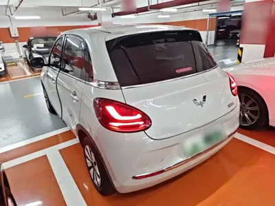 Wuling Bingo