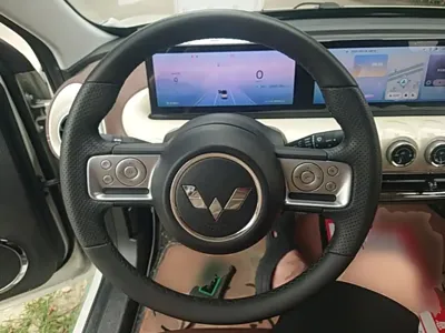 Wuling Bingo