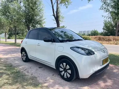 Wuling Bingo