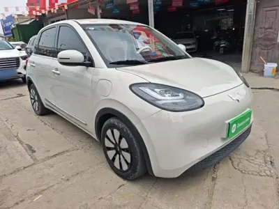 Wuling Bingo