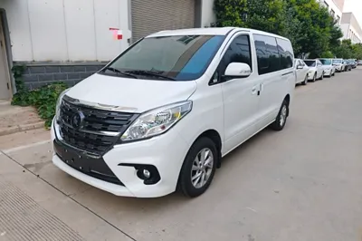Forthing Lingzhi PLUS