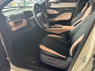 BYD Seagull