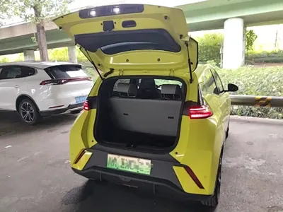 BYD Seagull