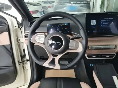 BYD Seagull