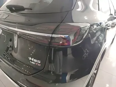 Hongqi Hongqi HS5