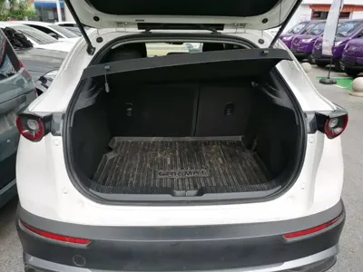 Mazda CX-30 EV