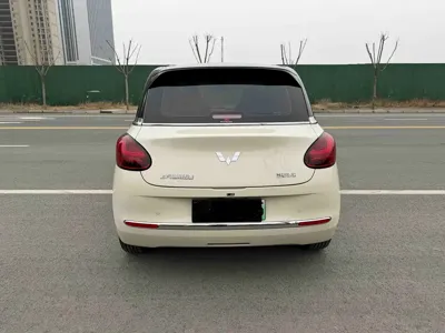 Wuling Bingo