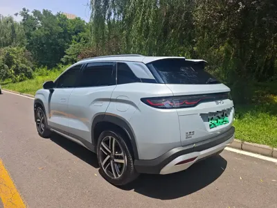 BYD L DM-i