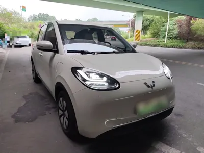 Wuling Bingo