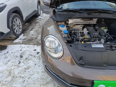 Volkswagen Beetle