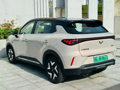 Wuling 缤果S