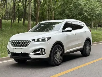 WEY Wey VV6