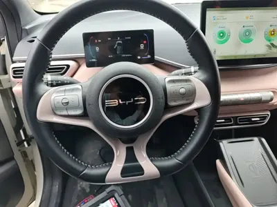 BYD Seagull