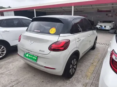 Wuling Bingo