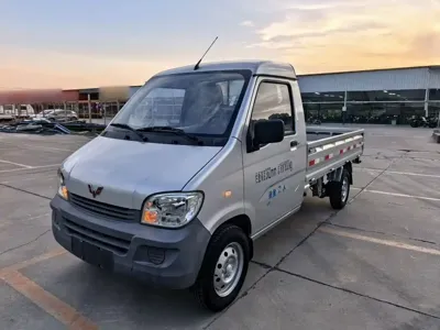 Wuling Zhiguang Mini Truck