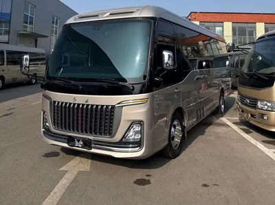 Hongqi 红旗金葵花国悦
