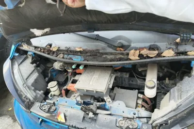 Baojun E100