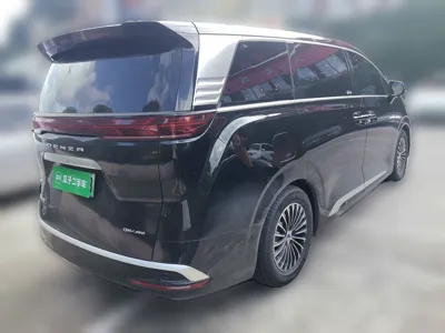Denza D9