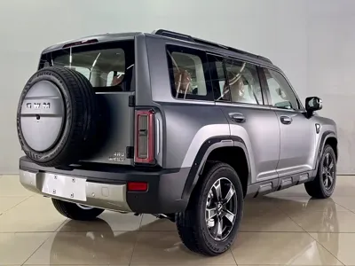 Haval 哈弗猛龙燃油