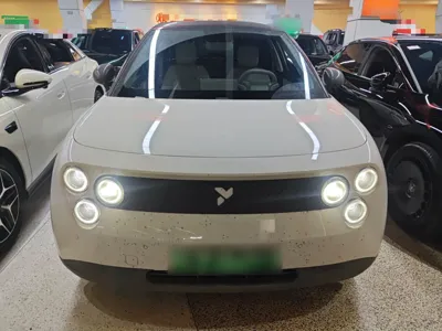 Nio Firefly