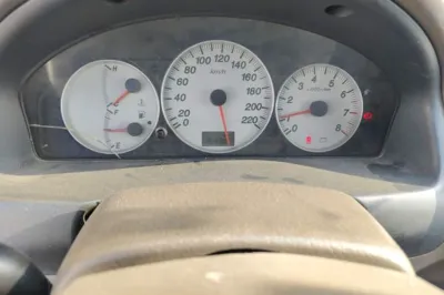 Haima Fumei