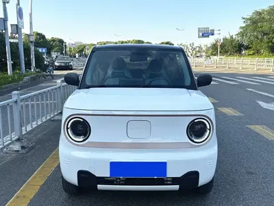 Galaxy Panda