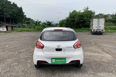 Baojun 310