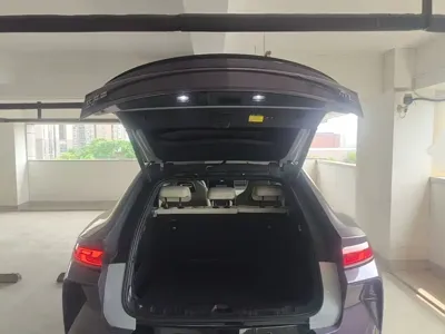 BYD L EV