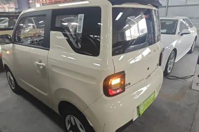 Geely Galaxy Panda