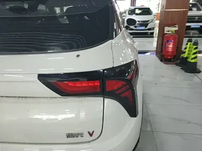 NETA Neta V