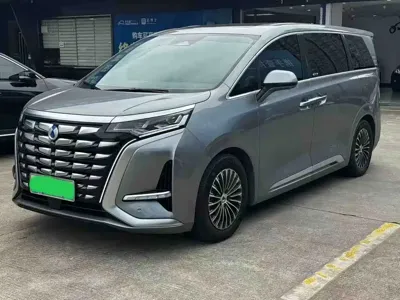Denza Denza D9