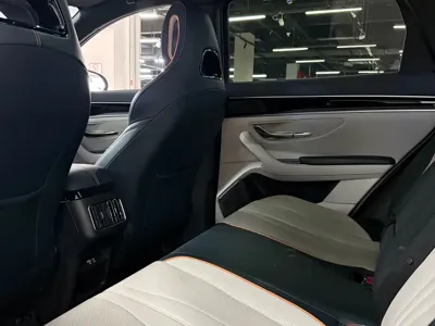 BYD PLUS New Energy