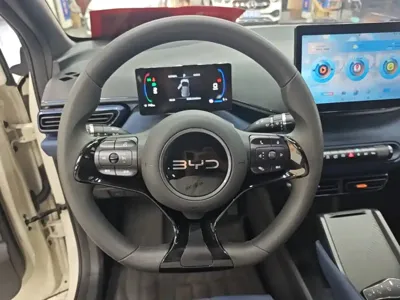 BYD Seagull