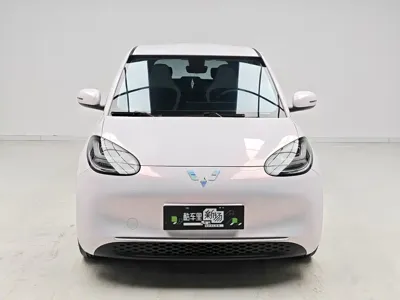 Wuling Bingo