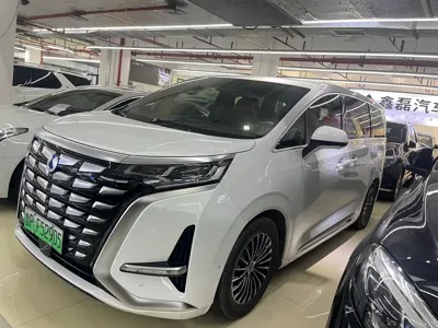 Denza Denza D9