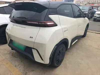 BYD Seagull