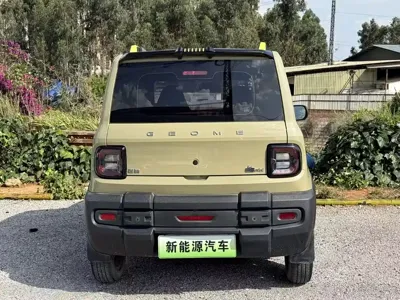 Galaxy Panda