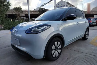 Wuling Bingo