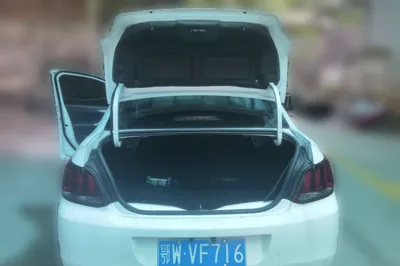 Peugeot 301