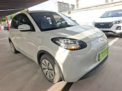 Wuling Bingo