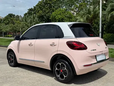 Wuling Bingo