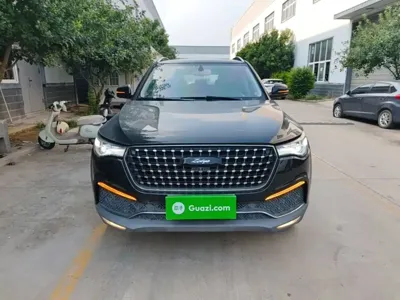 Zotye Zotye T700