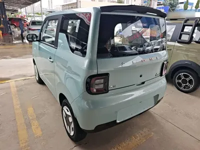 Galaxy Panda